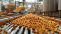 Soybeans on a factory conveyor belt. Royalty Free Stock Photo