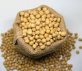 Soybeans in hemp sack bag on white background.