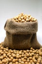 Soybeans in hemp sack bag on white background.