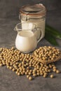 Soybeans and milk Royalty Free Stock Photo