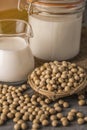 Soybeans and milk Royalty Free Stock Photo