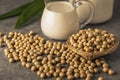 Soybeans and milk Royalty Free Stock Photo