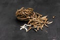 Soybeans pod, harvest of soy beans background Soybeans on a wooden background. rustic style Royalty Free Stock Photo