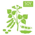 Soybeans silhouette. Vector illustrations set on a white background. Soybeans protein. Royalty Free Stock Photo