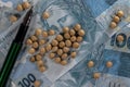 Soybeans spread over one hundred reais of brazilian money, conceptualizing agribusiness