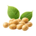 Soybeans on Transparent Background - Ai Generated Royalty Free Stock Photo