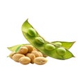 Soybeans on Transparent Background - Ai Generated Royalty Free Stock Photo