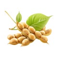 Soybeans on Transparent Background - Ai Generated Royalty Free Stock Photo