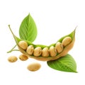 Soybeans on Transparent Background - Ai Generated Royalty Free Stock Photo