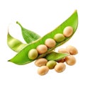 Soybeans on Transparent Background - Ai Generated Royalty Free Stock Photo