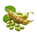 Soybeans on Transparent Background - Ai Generated Royalty Free Stock Photo