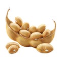 Soybeans on Transparent Background - Ai Generated Royalty Free Stock Photo