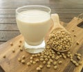 soymilk Royalty Free Stock Photo