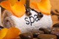 SPA Royalty Free Stock Photo