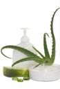 Spa aromatherapy with aloe Royalty Free Stock Photo