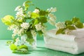 Spa aromatherapy bird cherry blossom flower towel Royalty Free Stock Photo