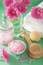 Spa aromatherapy with gerbera flowers essential oil brush Royalty Free Stock Photo