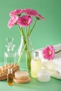 Spa aromatherapy with gerbera flowers essential oil brush Royalty Free Stock Photo