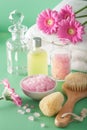 Spa aromatherapy with gerbera flowers essential oil brush Royalty Free Stock Photo