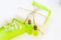Aromatherapy green concept Royalty Free Stock Photo