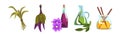 Spa and Aromatherapy Object and Accessory Vector Set