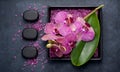 Spa and aromatherapy with orchids, stones Zen and sea salt. top view