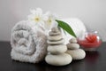 Spa and aromatherapy still life Royalty Free Stock Photo