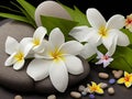 Spa and aromatherapy stones with frangipani