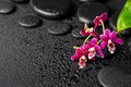 Spa background of black zen massaging stones, red orchid