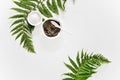 Spa background with Dead sea mud and fern leaves Royalty Free Stock Photo