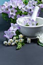 Spa background with flowers. Hygiene items for bath and spa Royalty Free Stock Photo