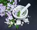 Spa background with flowers. Hygiene items for bath and spa Royalty Free Stock Photo