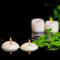 spa background of green branch Asparagus, fern and candles on zen basalt stones with drops in reflection water Royalty Free Stock Photo