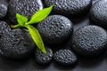 Spa background of green branch bamboo on zen basalt stones with