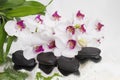 Spa Background - orchids black stones and bamboo on water