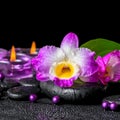 spa background of purple orchid dendrobium, green leaf Calla lily and candles on black zen stones with drops, closeup Royalty Free Stock Photo