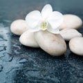 Spa background with white orchid flower and stone with water drops Royalty Free Stock Photo