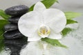 Orchids black stones and bamboo on water. spa
