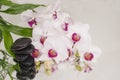 Spa Background - orchids black stones and bamboo on water