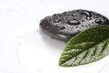 Spa basalt stones and green leaves with water drops Royalty Free Stock Photo