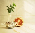 Bath still life with mineral stone, half a grapefruit and a sprig of kalanchoe Royalty Free Stock Photo