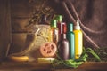 Set of body care products on wooden background Royalty Free Stock Photo