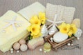 Spa Beauty Cleansing Products Royalty Free Stock Photo