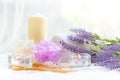 Spa beauty massage health wellness background.Ã Spa Thai therapy treatment aromatherapy for body woman Royalty Free Stock Photo