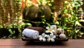 Spa beauty massage healthy wellness background. Spa Thai therapy treatment aromatherapy for body Royalty Free Stock Photo