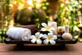 Spa beauty massage healthy wellness background. Spa Thai therapy treatment Royalty Free Stock Photo