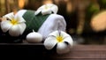 Spa beauty massage healthy wellness background. Spa Thai therapy treatment aromatherapy for body Royalty Free Stock Photo