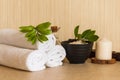 Spa, beauty and wellness. Towels, cosmetic massage oil, leaf, sea salt with shells in black bowl and candle on a wooden stand Royalty Free Stock Photo