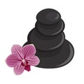 Spa black stones pyramid with orchid flower simple flat vector illustration.