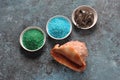 Spa and body care products. Colorful aromatic bath Dead Sea Salt and black Dead Sea Mud. Royalty Free Stock Photo